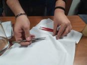 IMG-20200204-WA0033.jpg